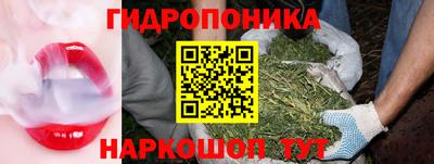 дмт Нарткала