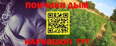 мяу мяу мука Нальчик